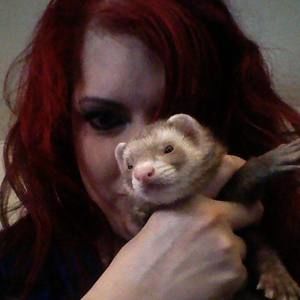 Meet your Posher, Phoenix